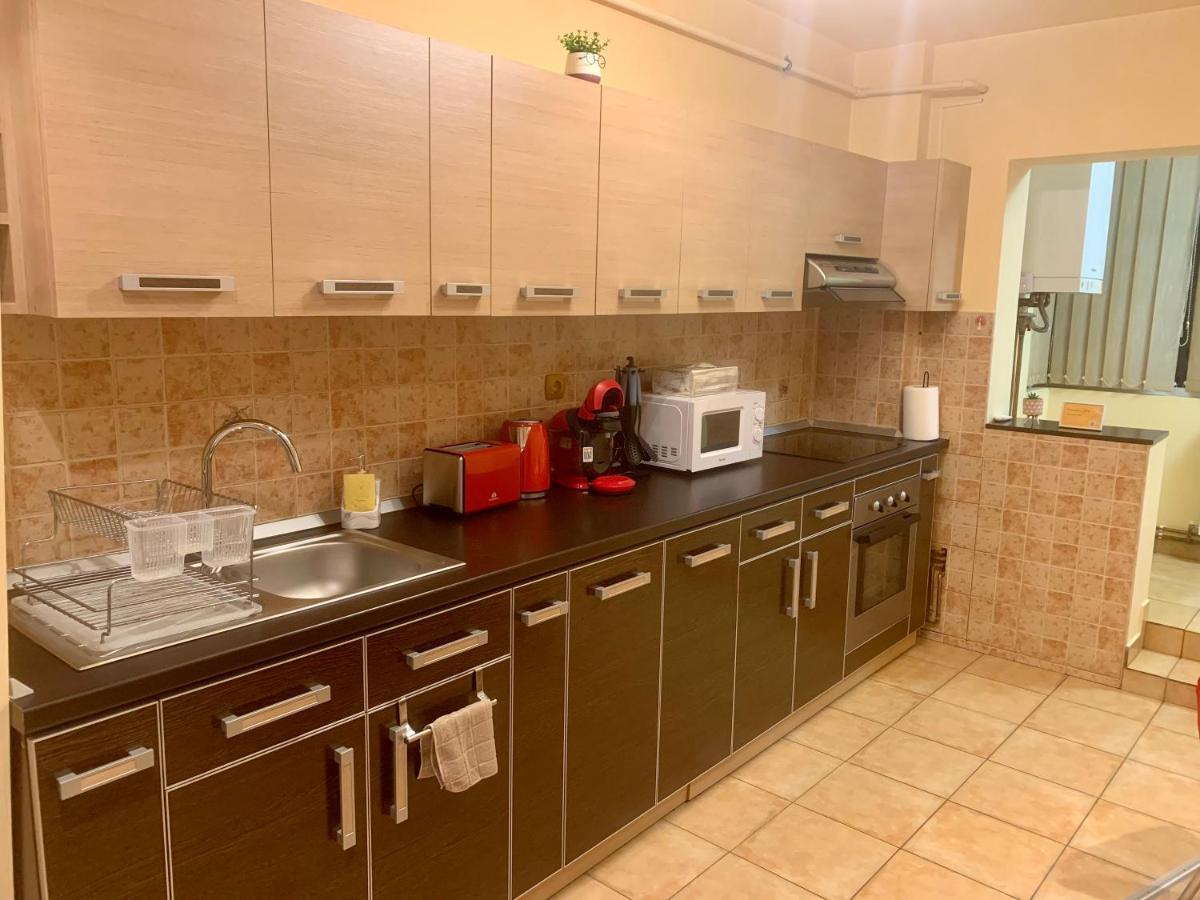 Jad - Family - Apartments - Zorilor ブラショフ エクステリア 写真