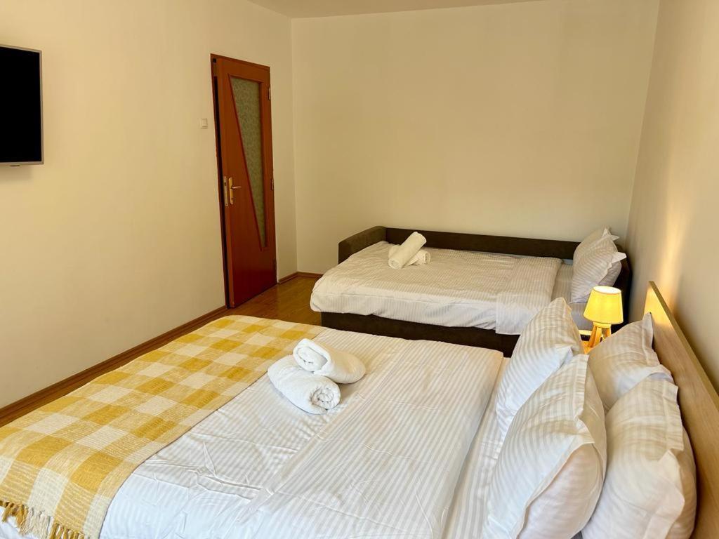 Jad - Family - Apartments - Zorilor ブラショフ エクステリア 写真